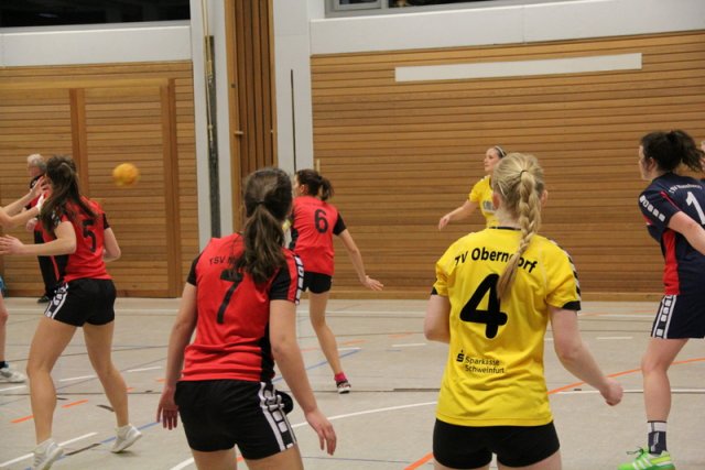 2016_01_23 Landesliga Frauen